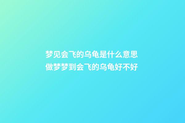 梦见会飞的乌龟是什么意思 做梦梦到会飞的乌龟好不好
